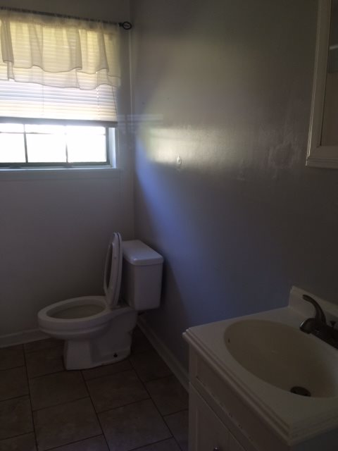Gallery Photo 4